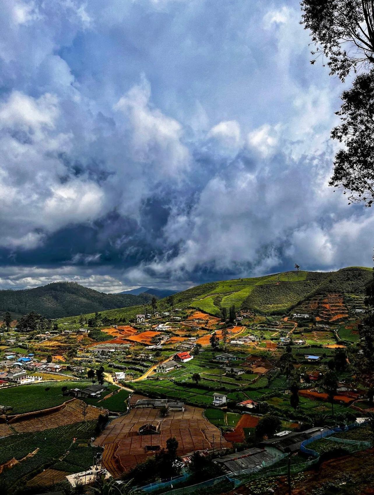 Cabin 7000 Feet Nuwaraeliya 누와라 엘리야 외부 사진